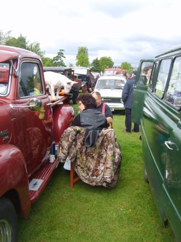 bstokeshow9.5.10renegade 426