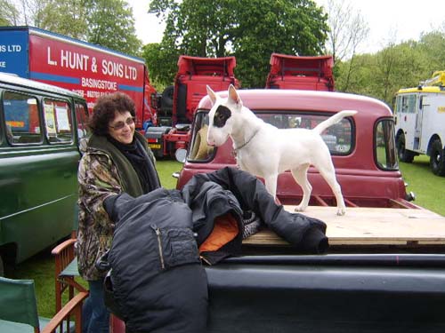 bstokeshow9.5.10rick 081