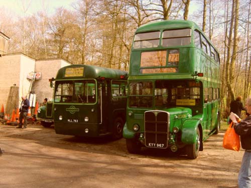 BusRally (367)