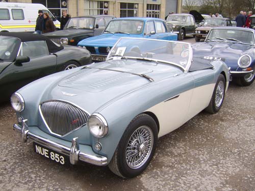 STA70031