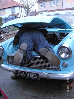 click picture for larger image