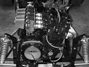 click here to view larger image