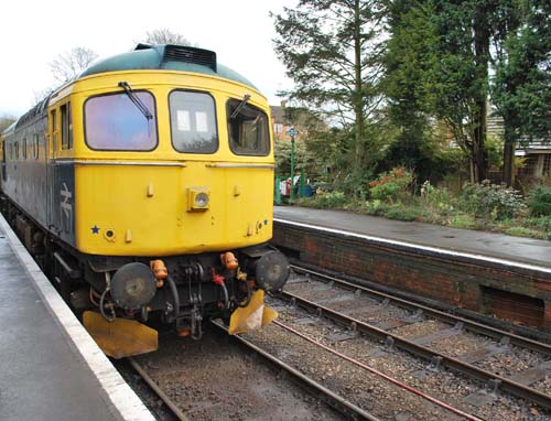 watercressline21.2.10 376