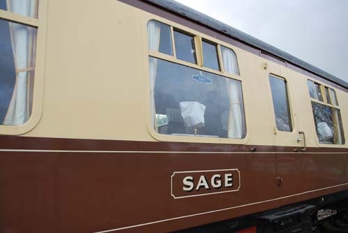 watercressline21.2.10 520